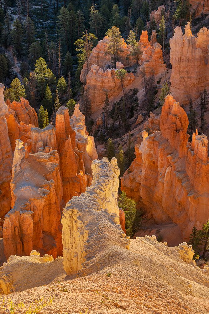 Sunrise at Bryce Canyon National Park, Utah